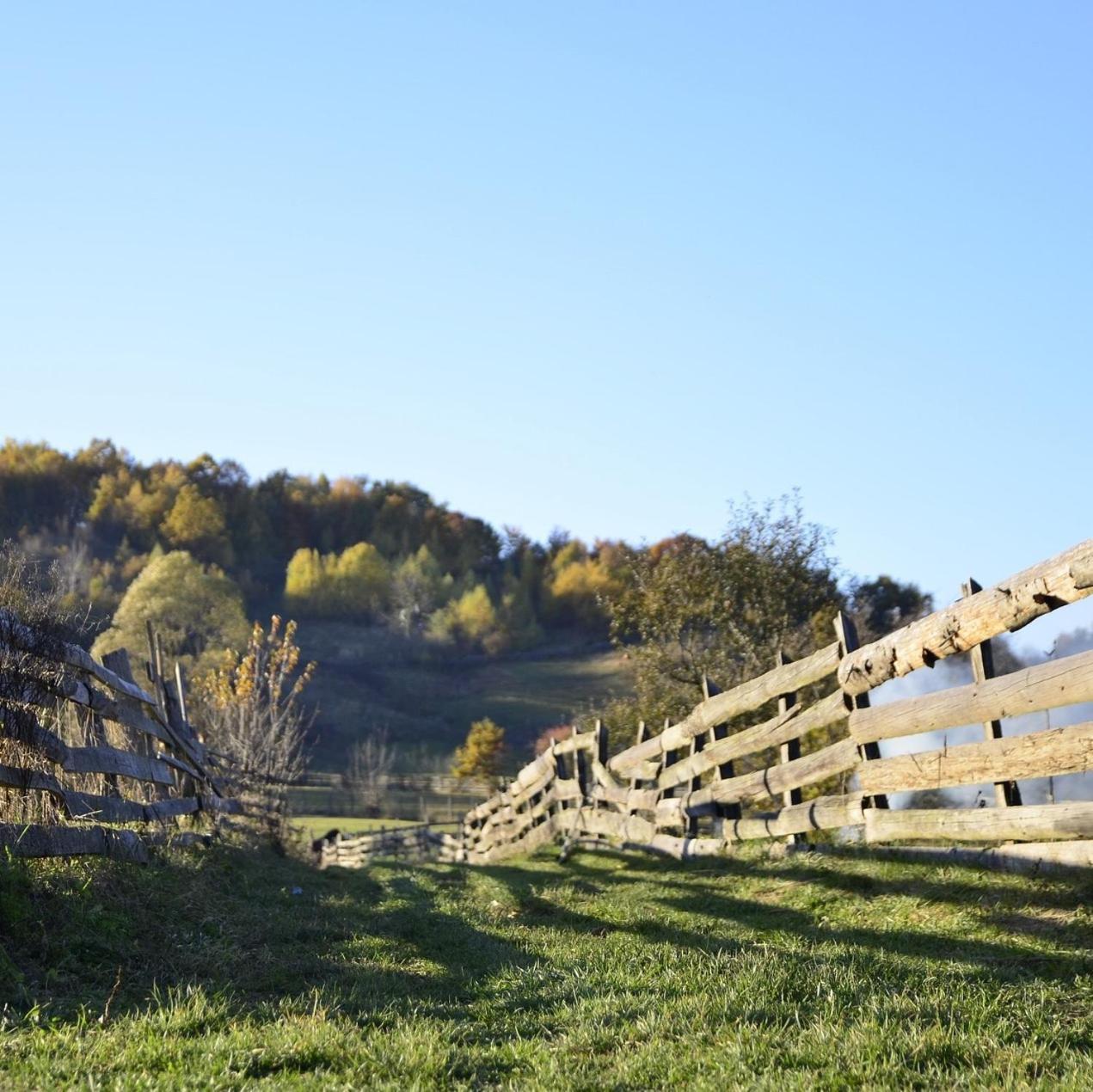 Amiad Joseph Well Country Inn Zewnętrze zdjęcie